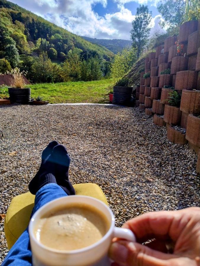 Bed and Breakfast L'Ecrin Des Biches Sainte-Marie-aux-Mines Esterno foto